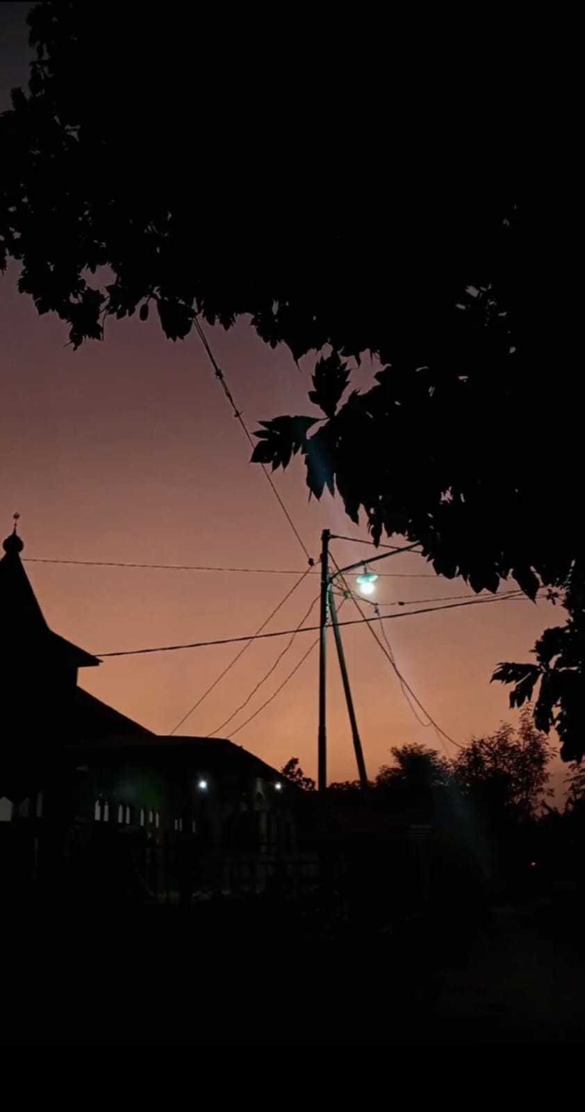 SUNSET 13