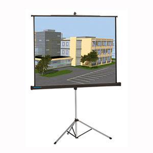Màn chiếu Chân Dalite P96TS 136 Inch