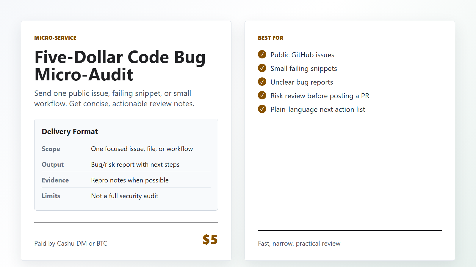 Code bug micro-audit preview