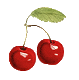 cherry png