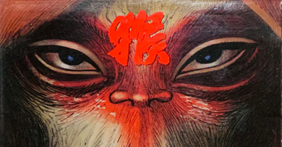 Cover art for Monkey's World