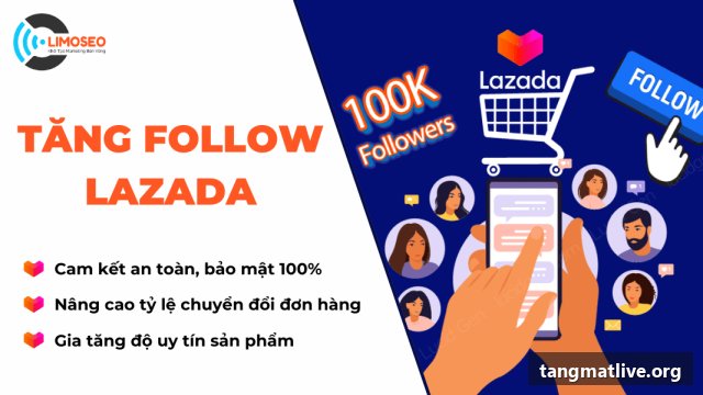 Dịch vụ tăng follow Lazada tại Tangmatlive.org
