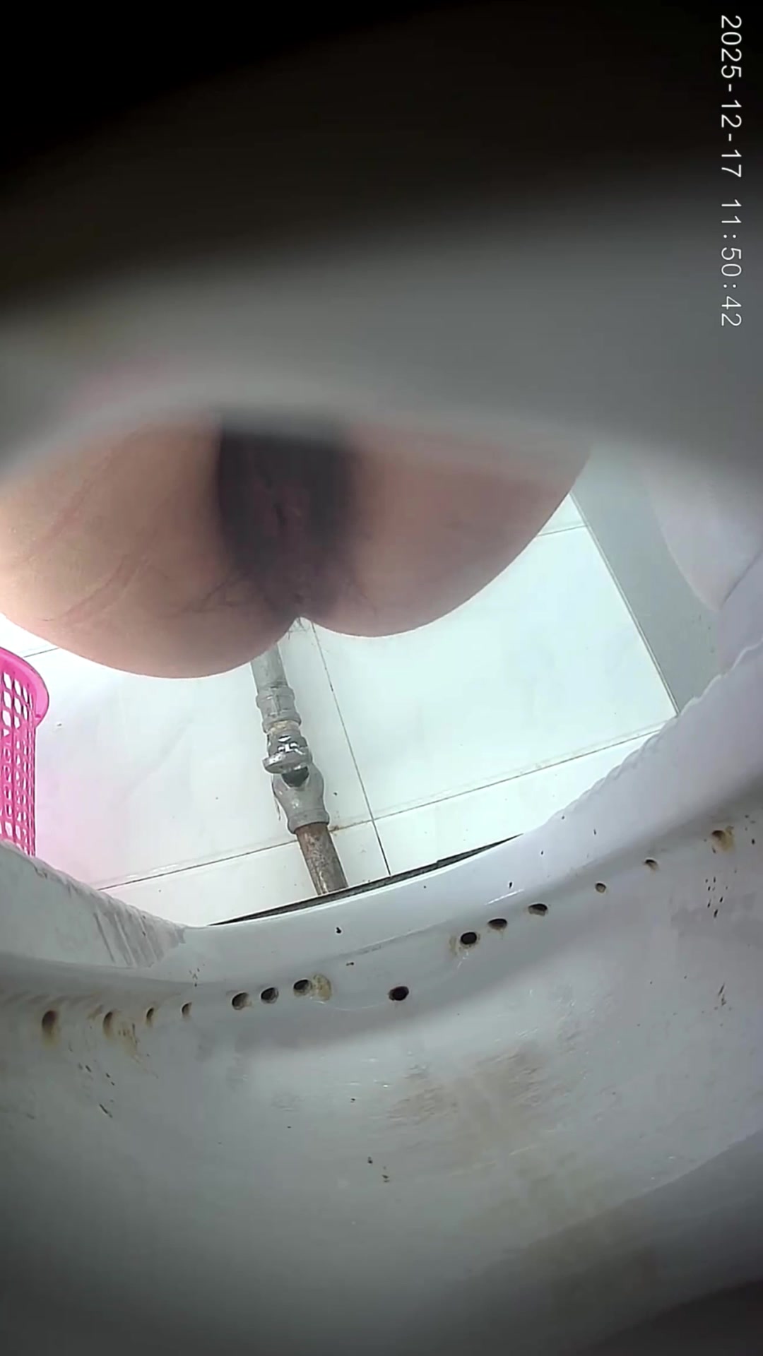 Toilet Spy — 0508(73) — screenshot 2