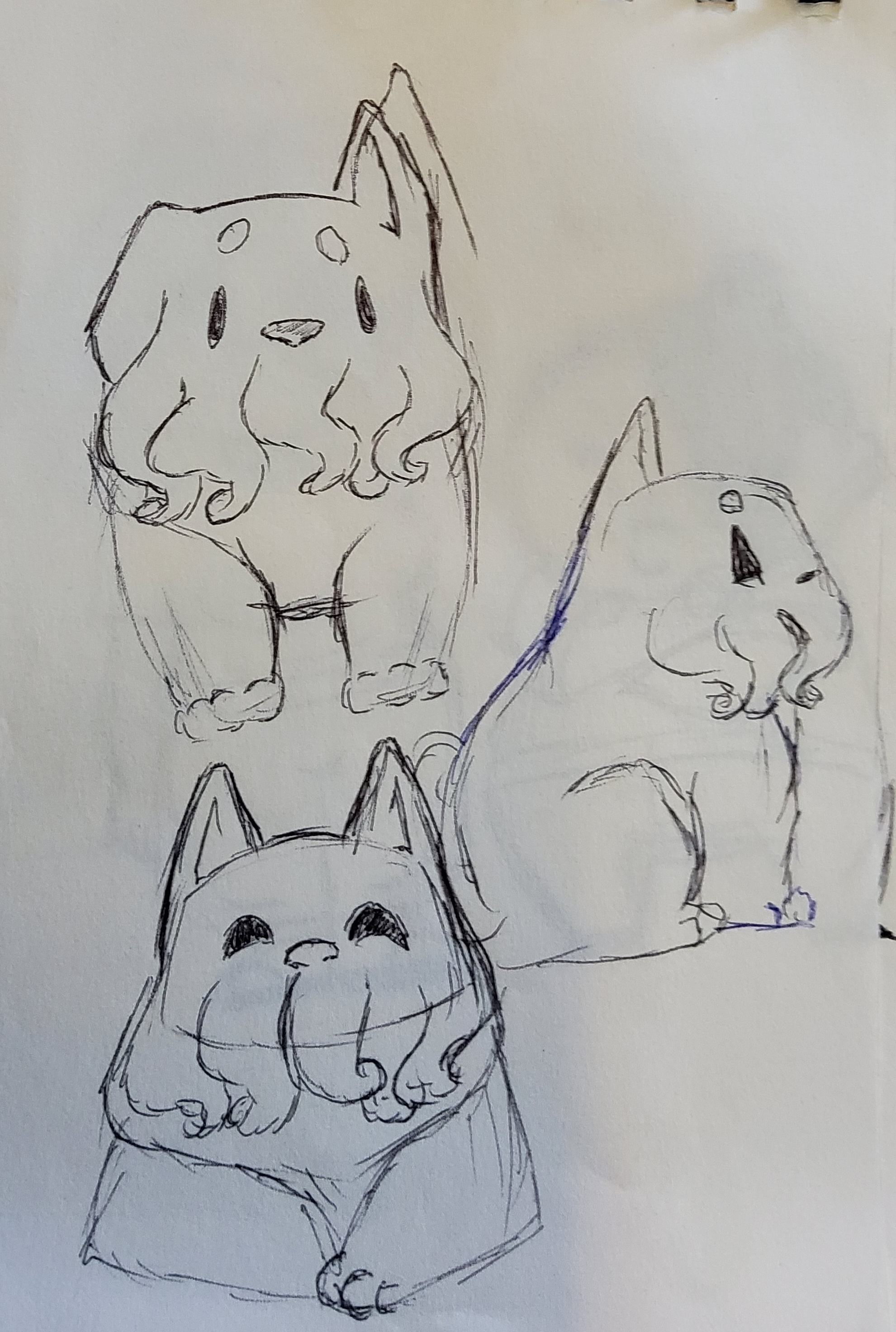 bingles comcept sketch 