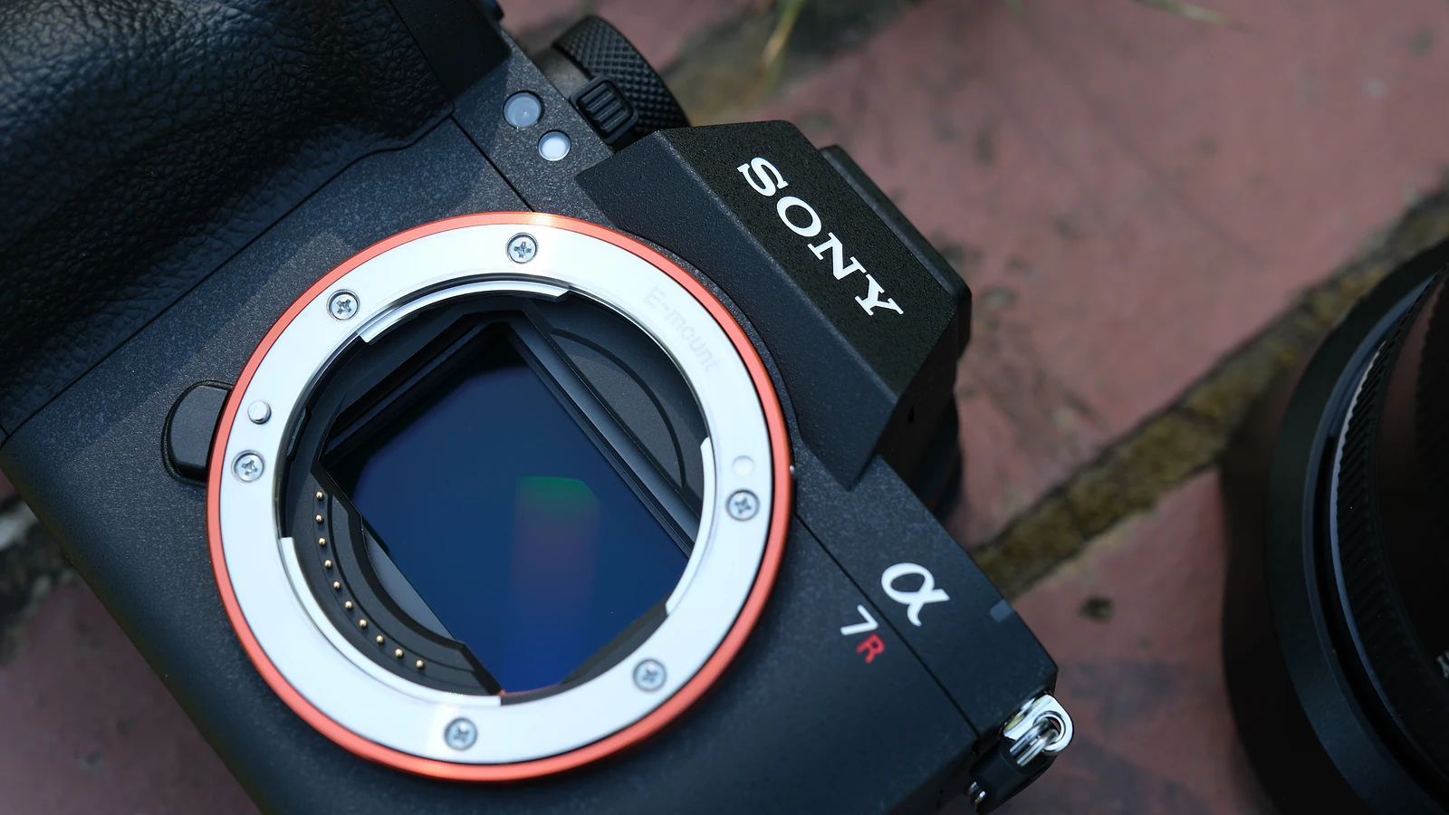 Sony A7R VI Soán Ngôi A7 V: Lộ Diện Top Máy Ảnh Bán Chạy Nhất - Hình 2
