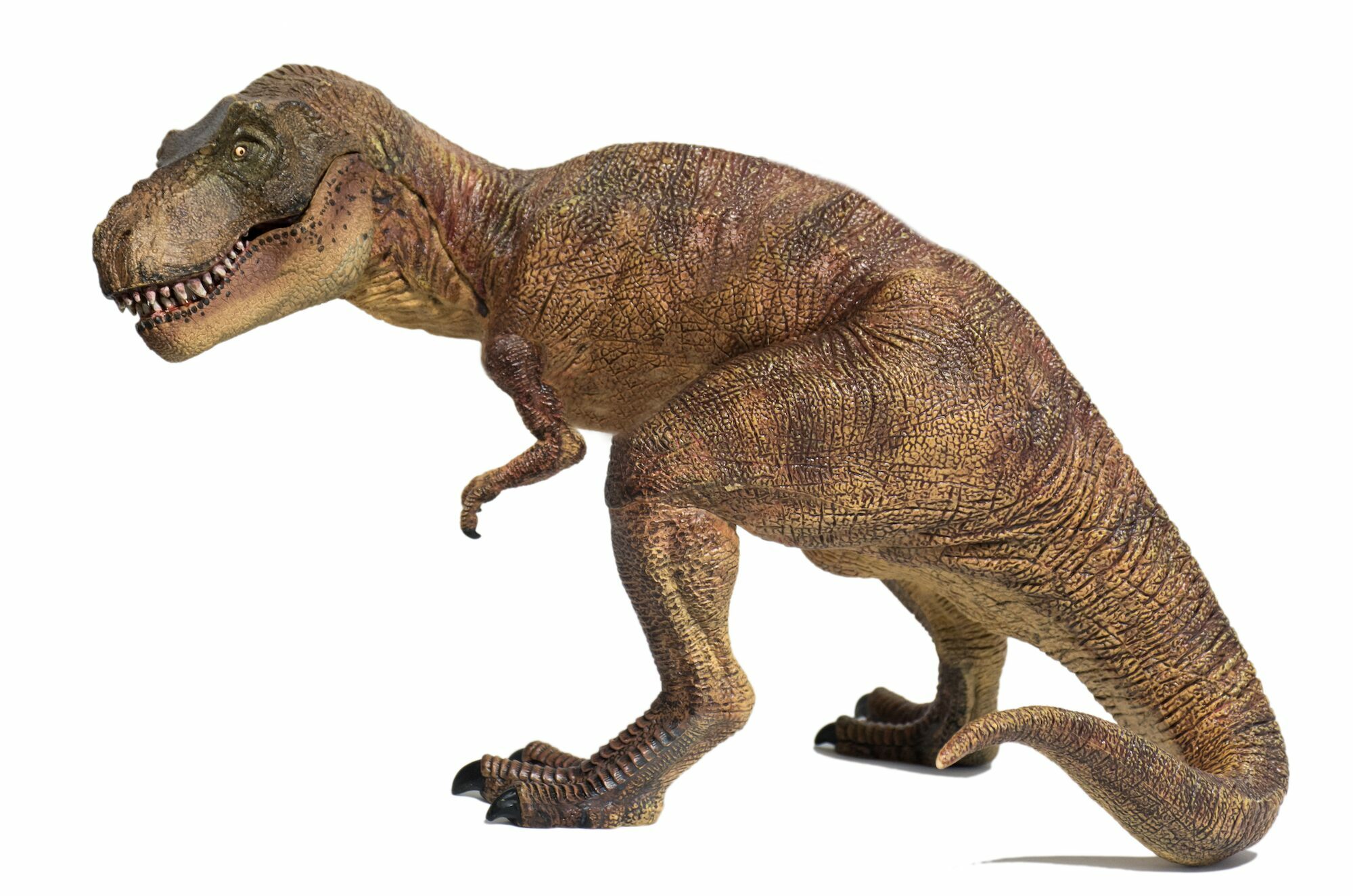 trex