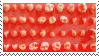 petrapixel