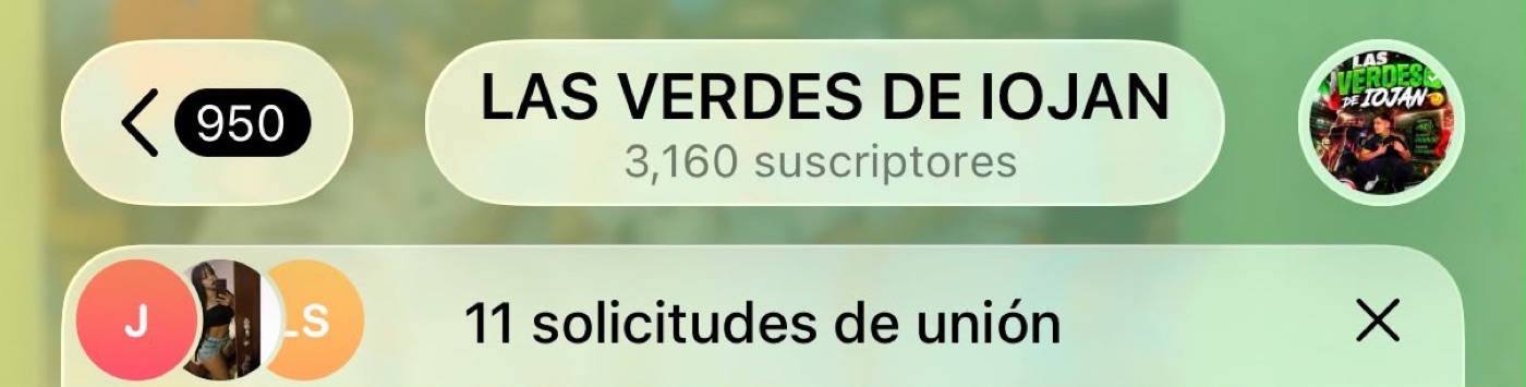 Canal Las Verdes de Iojan con 3,160 suscriptores