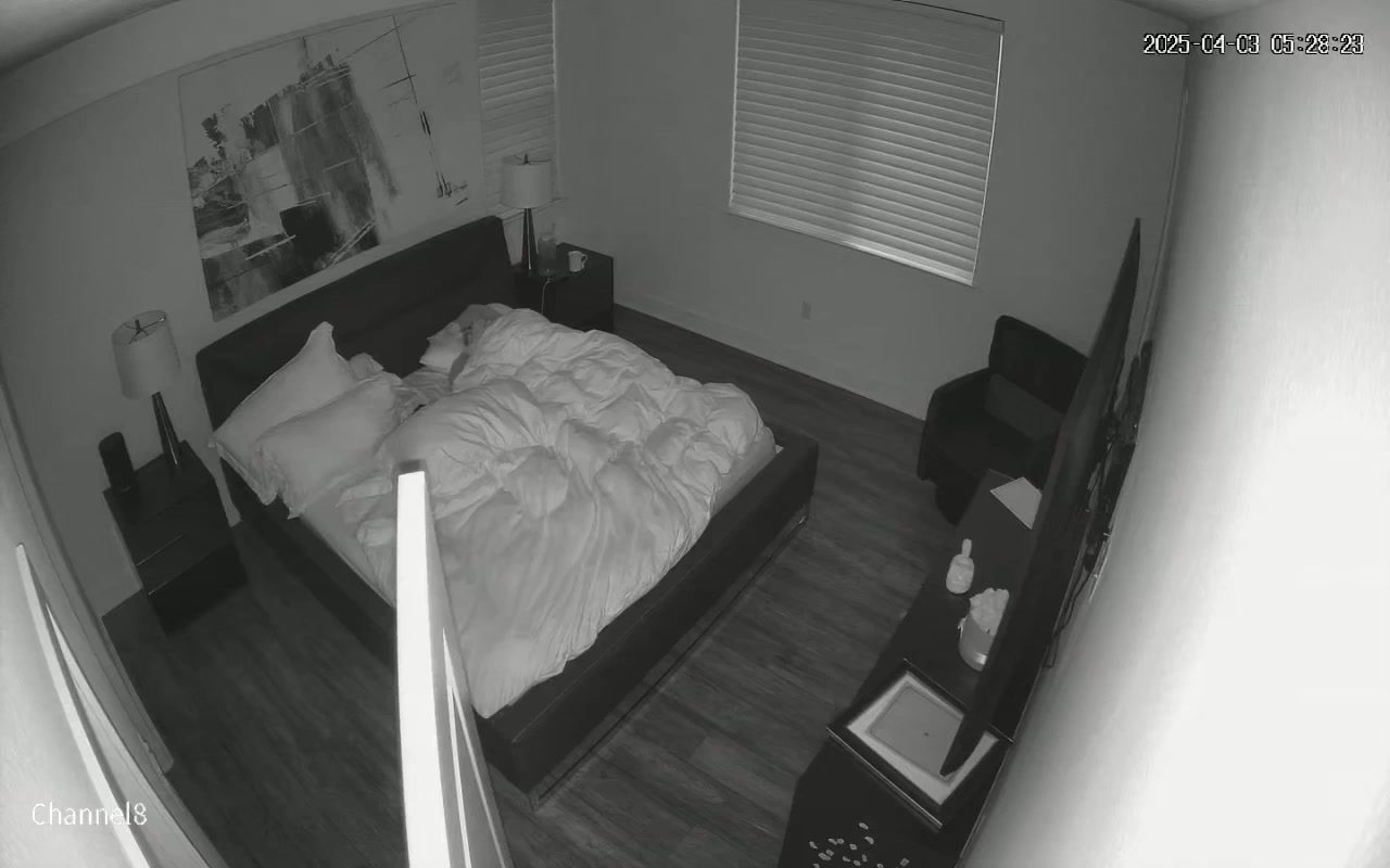 Hidden Voyeur — 1_5149888658051958905 — screenshot 2
