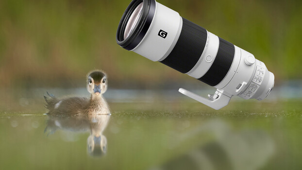 Review Sony FE 200-600mm f/5.6-6.3 G OSS: Có đáng mua 2024?