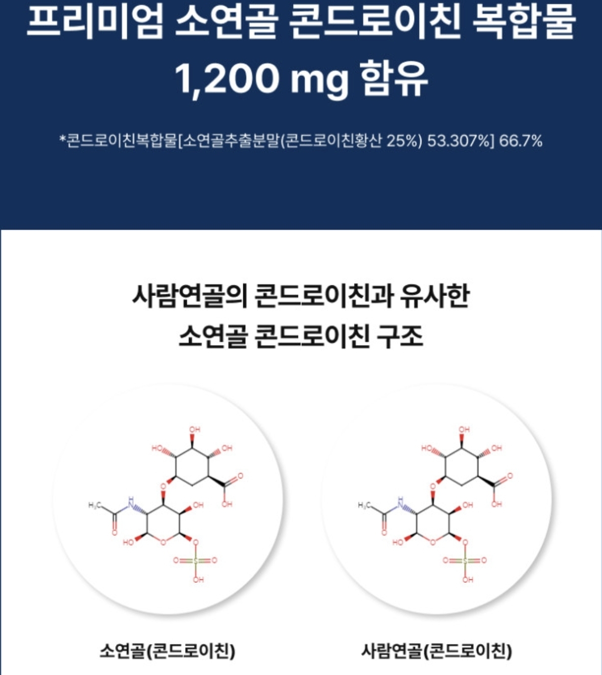 뉴트리원 콘드로이친 맥스 1200 상세 이미지 5