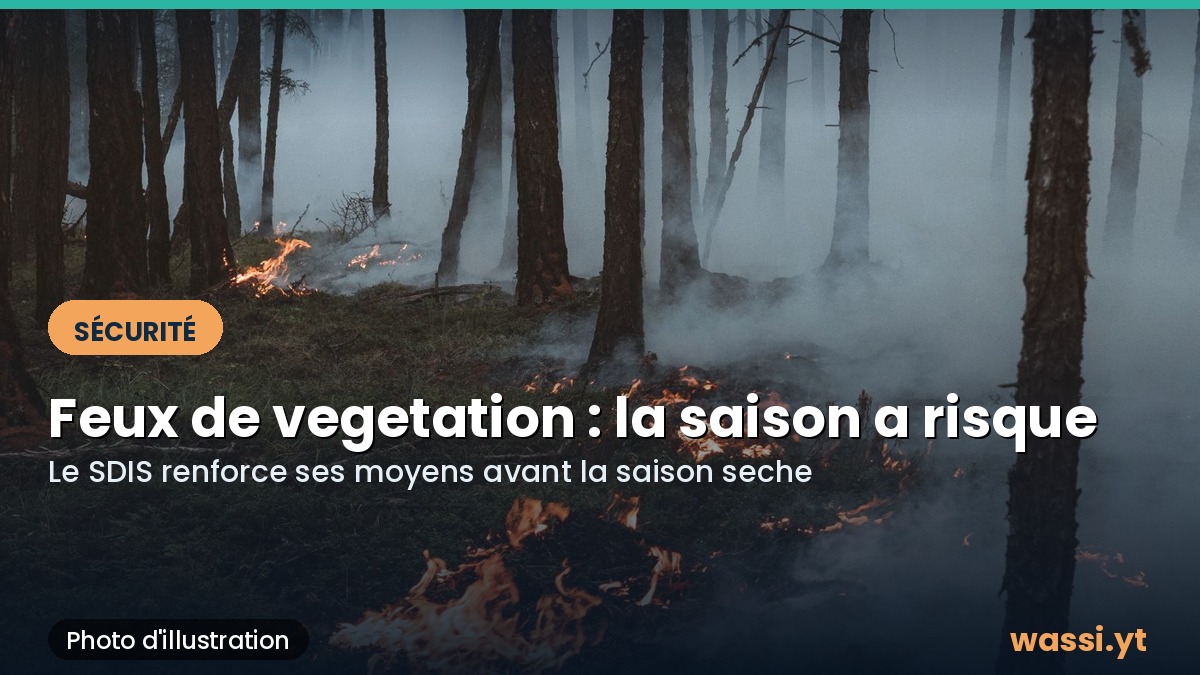 Feux de vegetation a Mayotte : les pompiers renforcent leurs moyens pour la saison seche