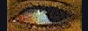 Collage Of Eyes