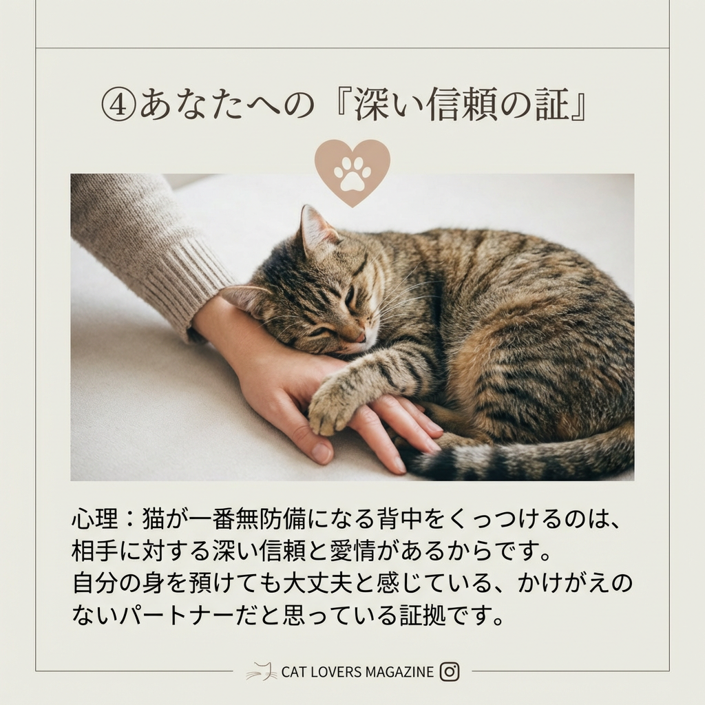 猫が背中をくっつける理由とその愛情表現 - Image 6