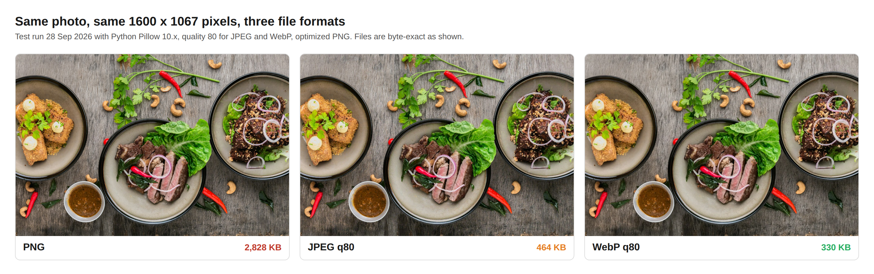 Side by side comparison of the same photo saved as PNG (2,828 KB), JPEG (464 KB), and WebP (330 KB)