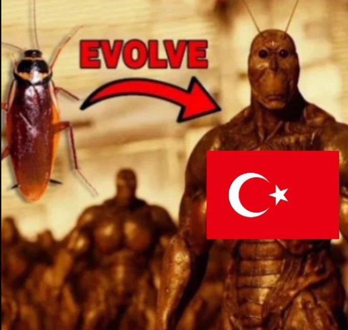 ltdkm0.jpg