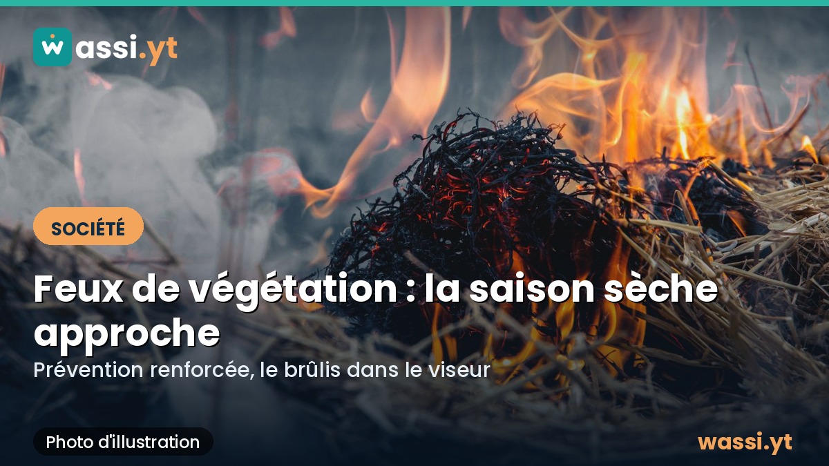 Feux de végétation à Mayotte : la saison sèche approche, la prévention s'organise