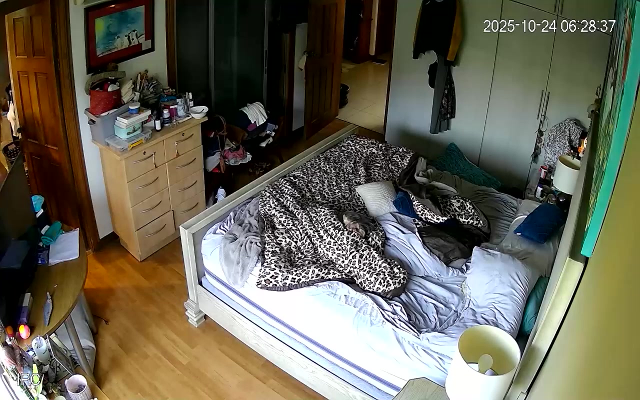 Hidden Voyeur 2 — 1_5010563148785125276 — screenshot 2