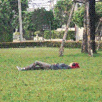 picture of me lying on the grass