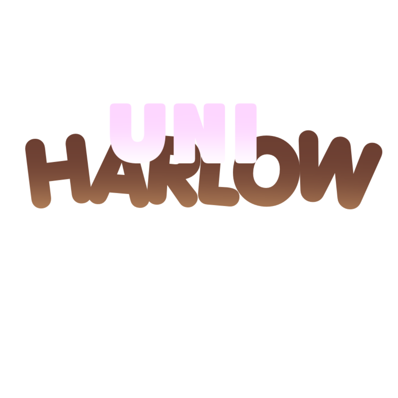 Resized Image