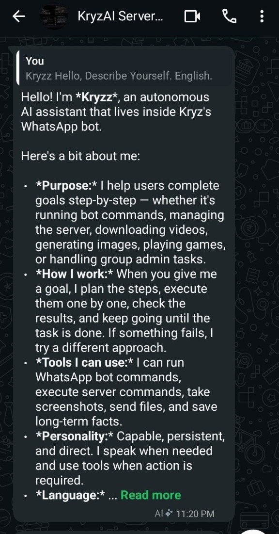 KryzAI Server Manager screenshot
