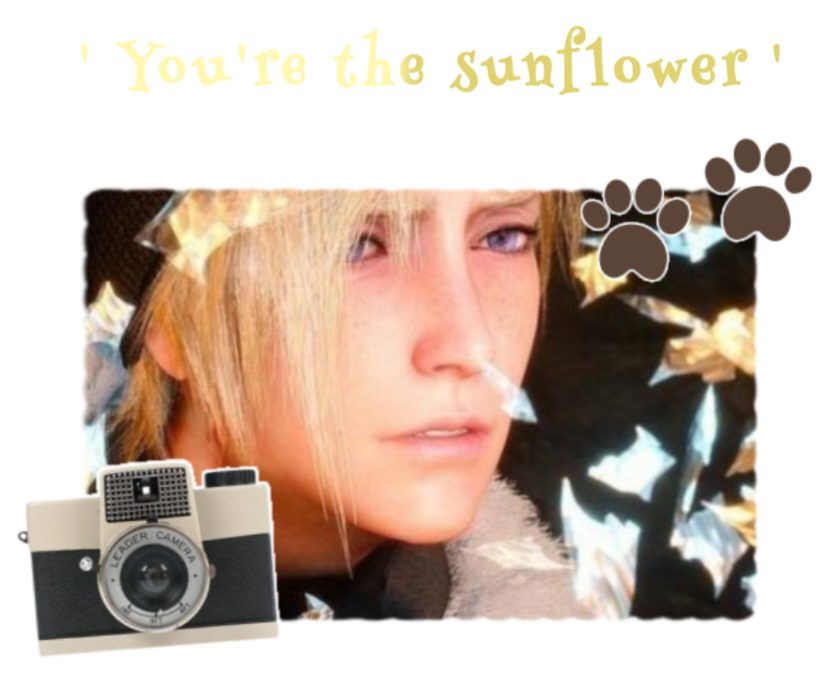 'You're the sunflower'