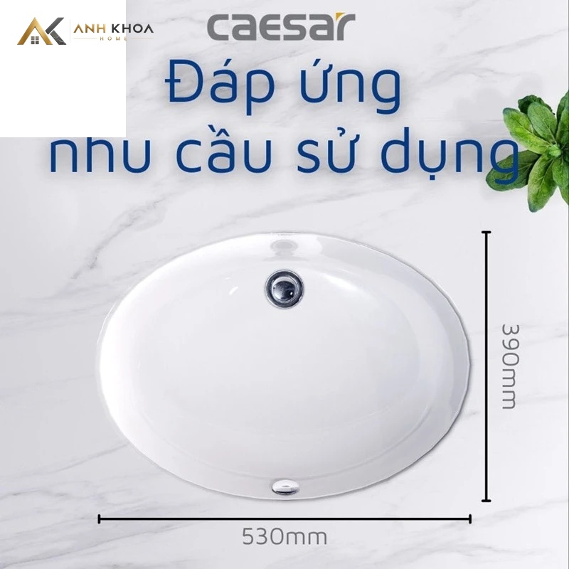 chau rua dat ban caesar l5113 cao cap 4
