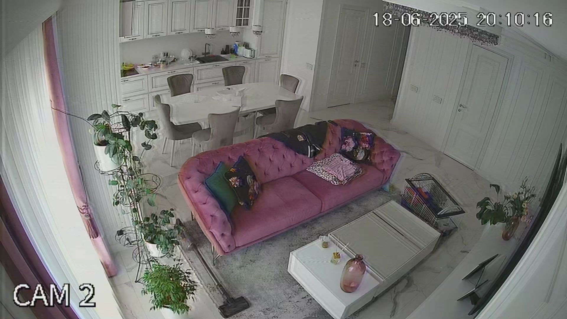 Hidden Voyeur — 1_5028405778667538116 — screenshot 2