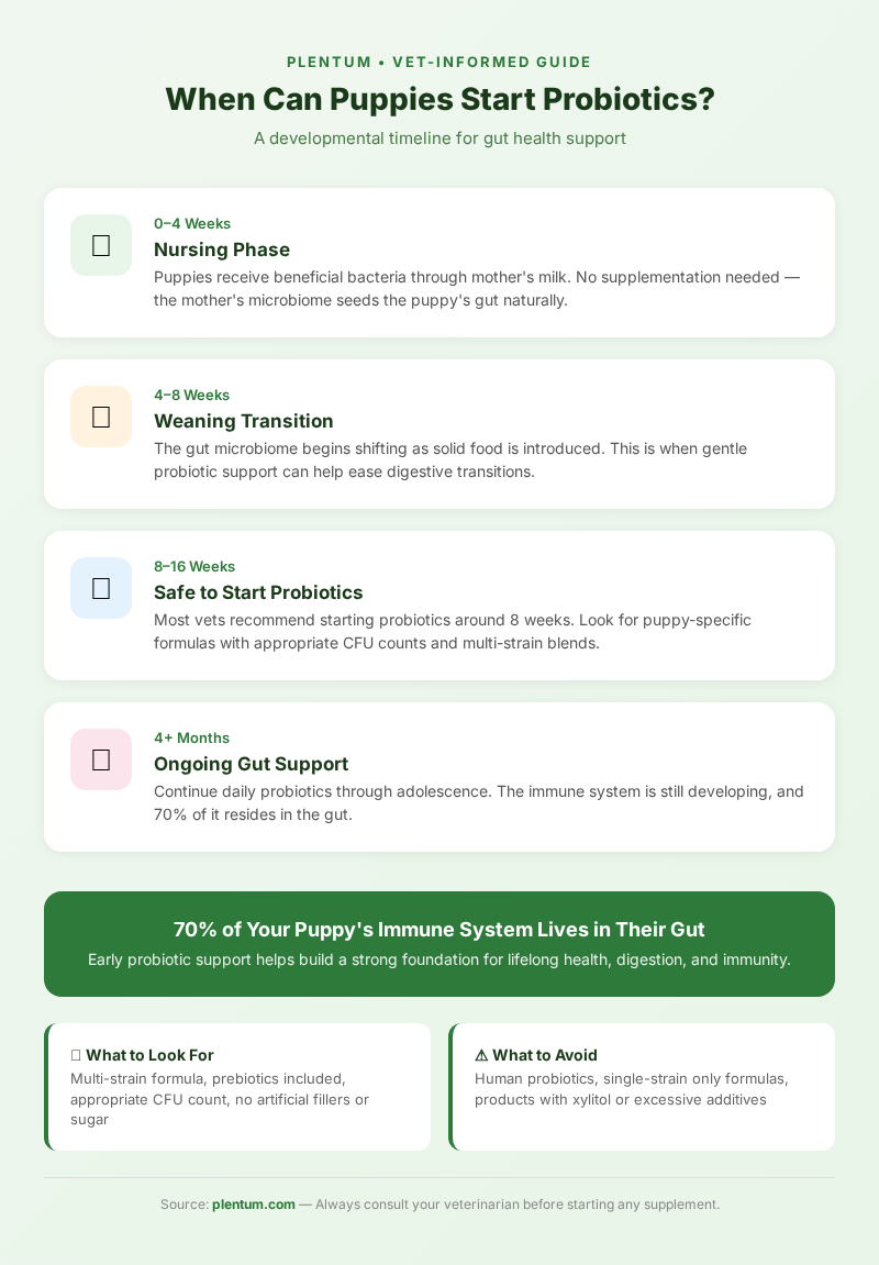 When can puppies start probiotics - developmental timeline infographic by Plentum