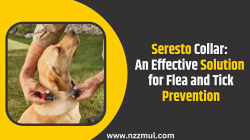 seresto-collar-an-effective-solution-for-flea-and-tick-prevention-nzzmul
