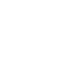 Barba.js 页面过渡后脚本失效:事件监听与DOM操作的正确重初始化策略