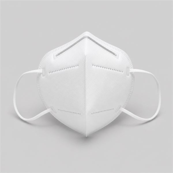 Lab N95 Facemask