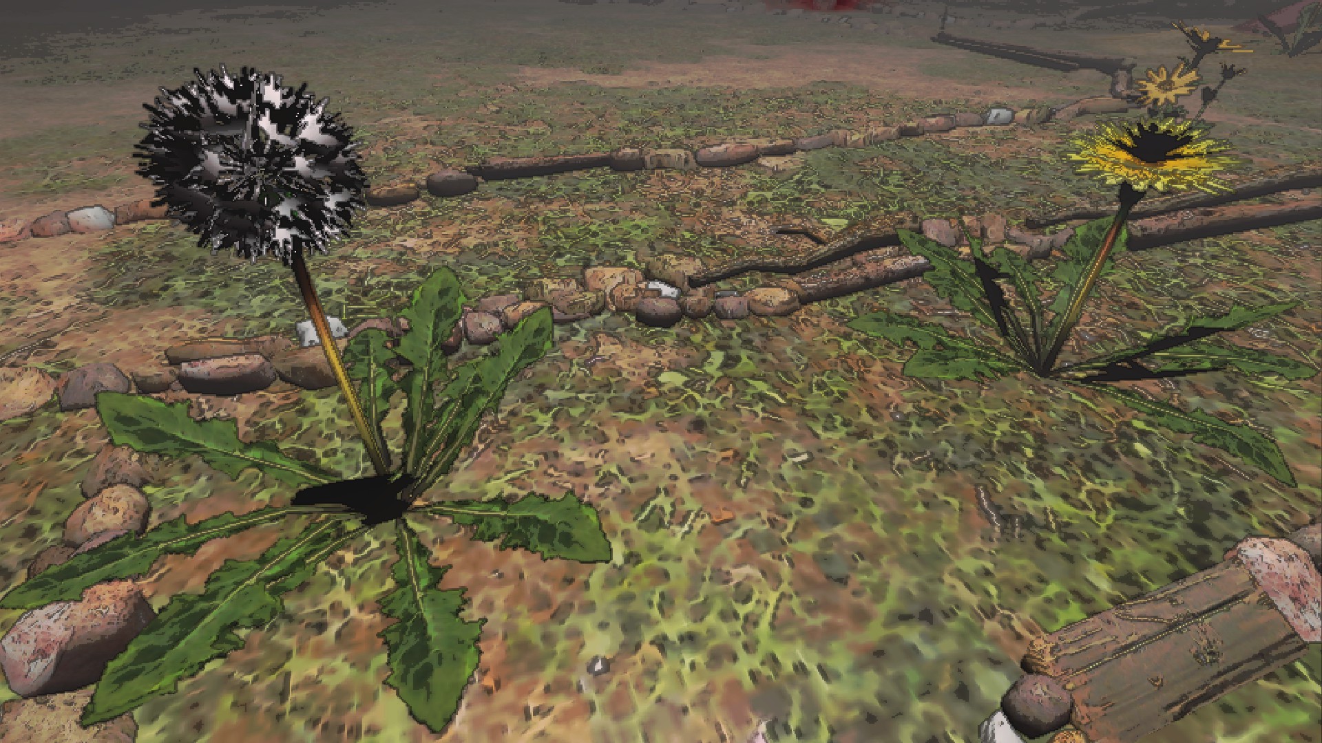 A 'seeding dandelion' on the left, and flowering 'dandelion' on the right.