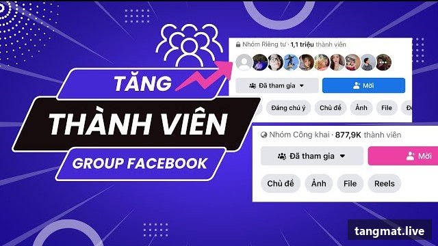 Dịch vụ tăng tương tác Facebook tại Tangmat.live