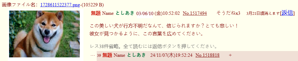 An alleged screenshot of one of the 2chan posts.