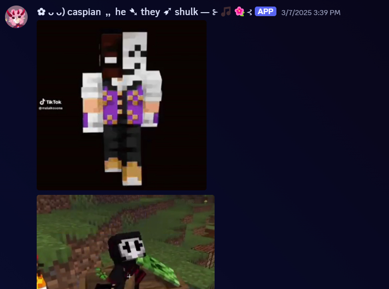 mel's alter caspian sharing gifs of his favorite cc's, saying that he needs them all bad "lowkey", which is shown below