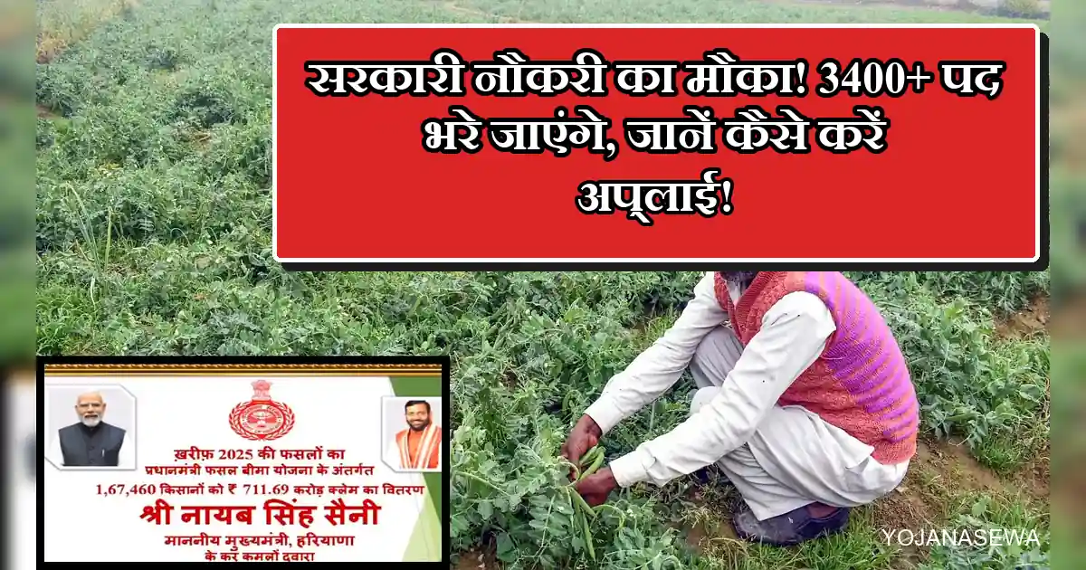 सरकारी नौकरी: 3400+ पदों पर करें आवेदन, खेत में फसल काटता किसान।