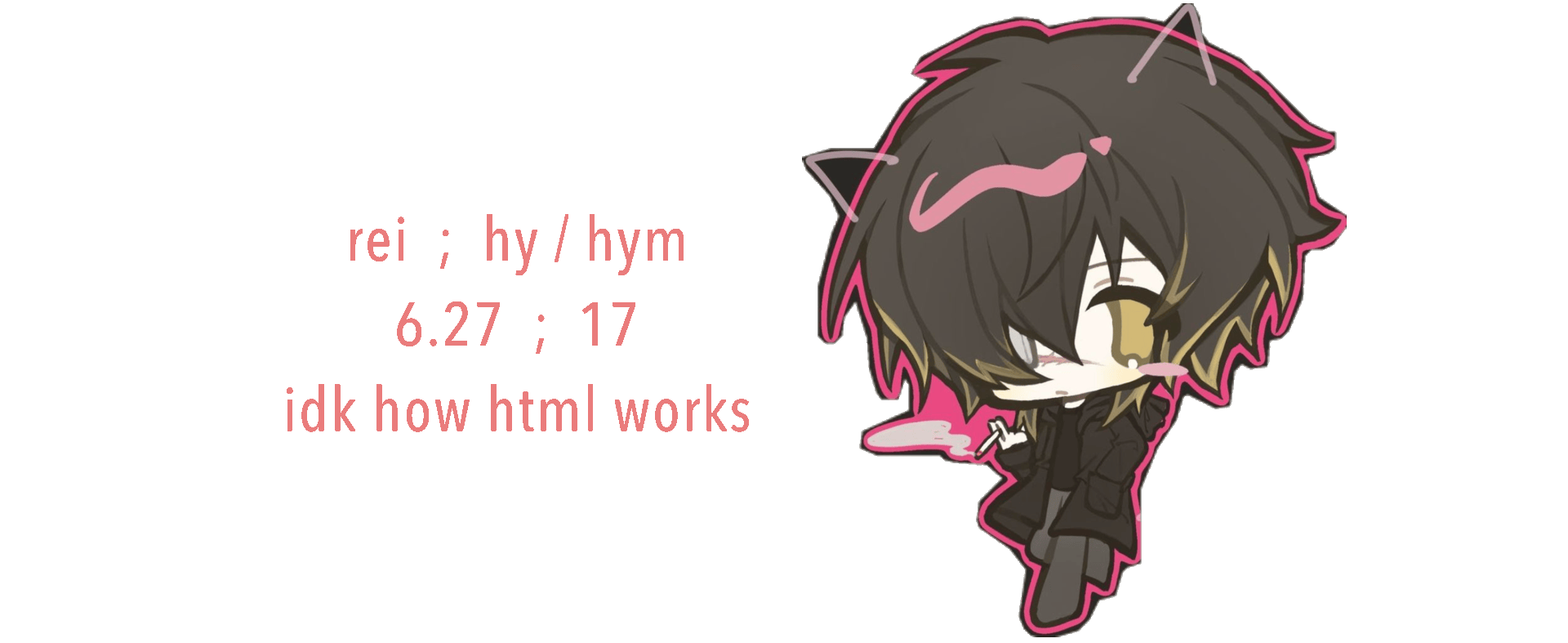 n2b4lr.gif