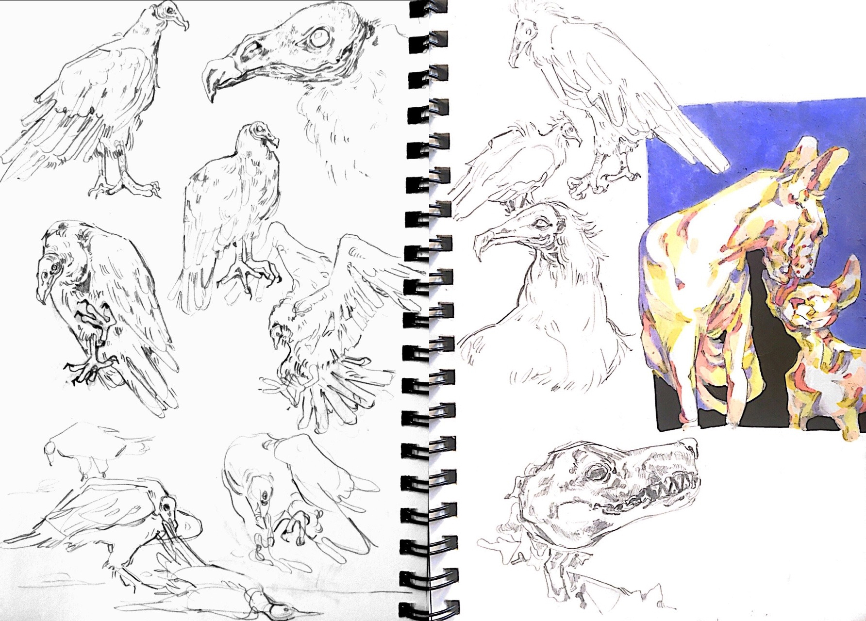 sketches, February 2019