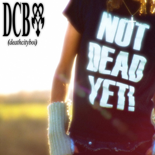 n3nj26.png