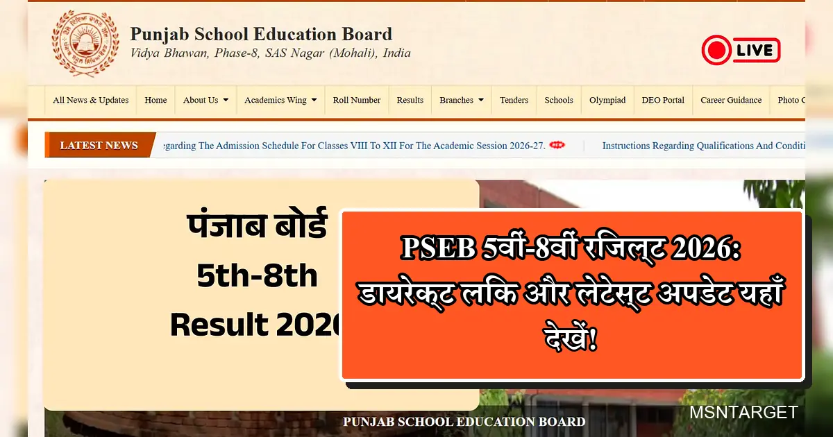 पंजाब बोर्ड PSEB 5वीं-8वीं रिजल्ट 2026: सीधा लिंक, लेटेस्ट अपडेट।