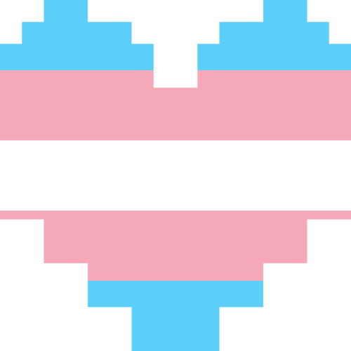 transgender flag