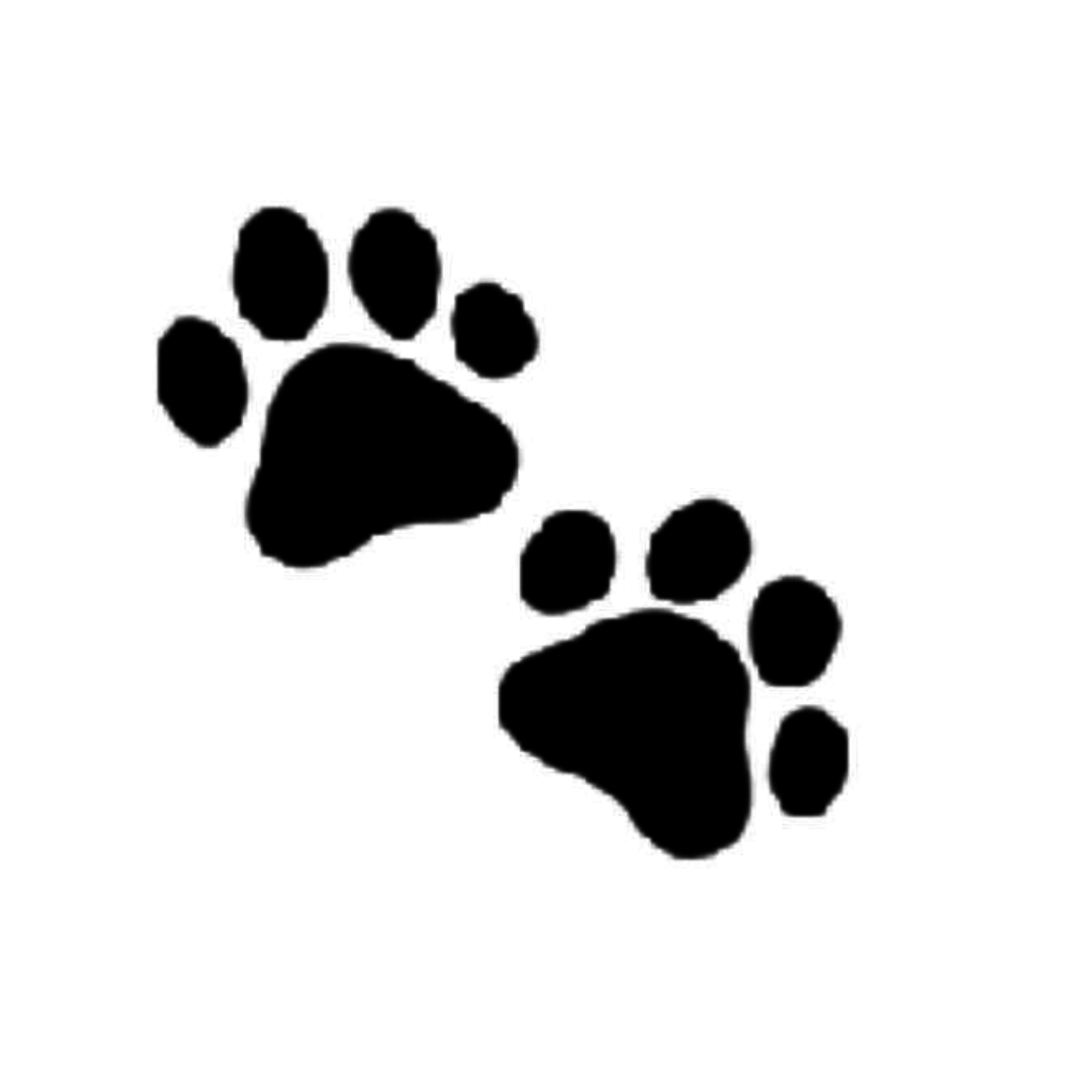nbjgh9.png