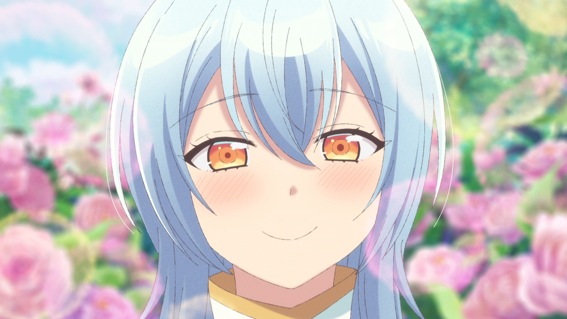 ndd5dr.png