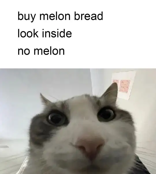 melon bread without melon