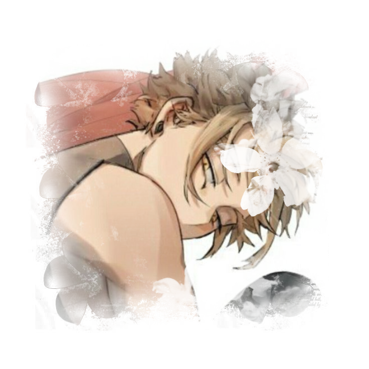 hawks