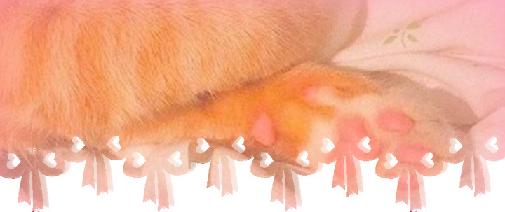 paw banner :3