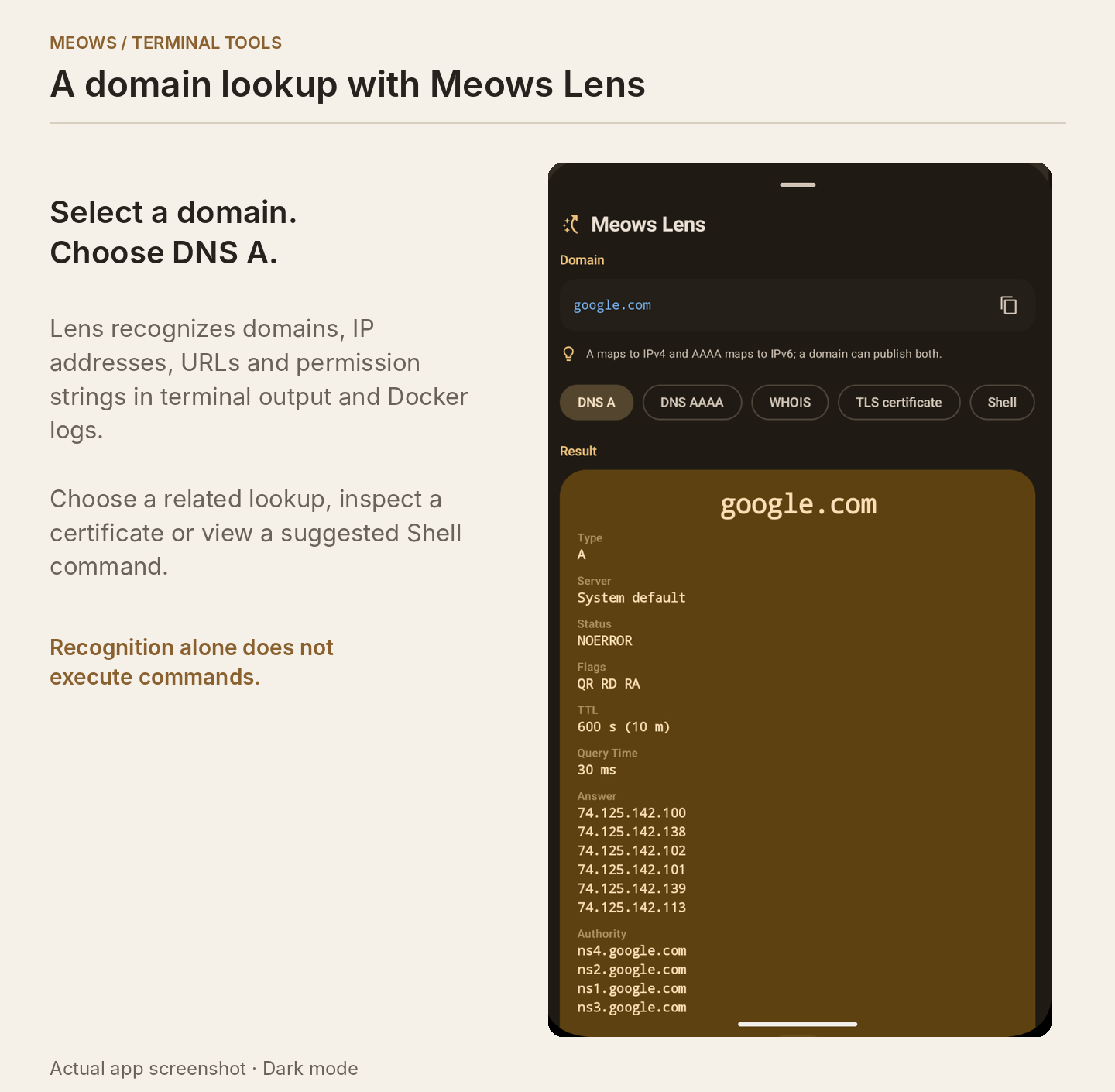 Meows Lens DNS query