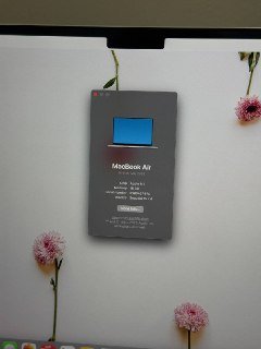 MacBook Air 15″ M4 с Magic Mouse