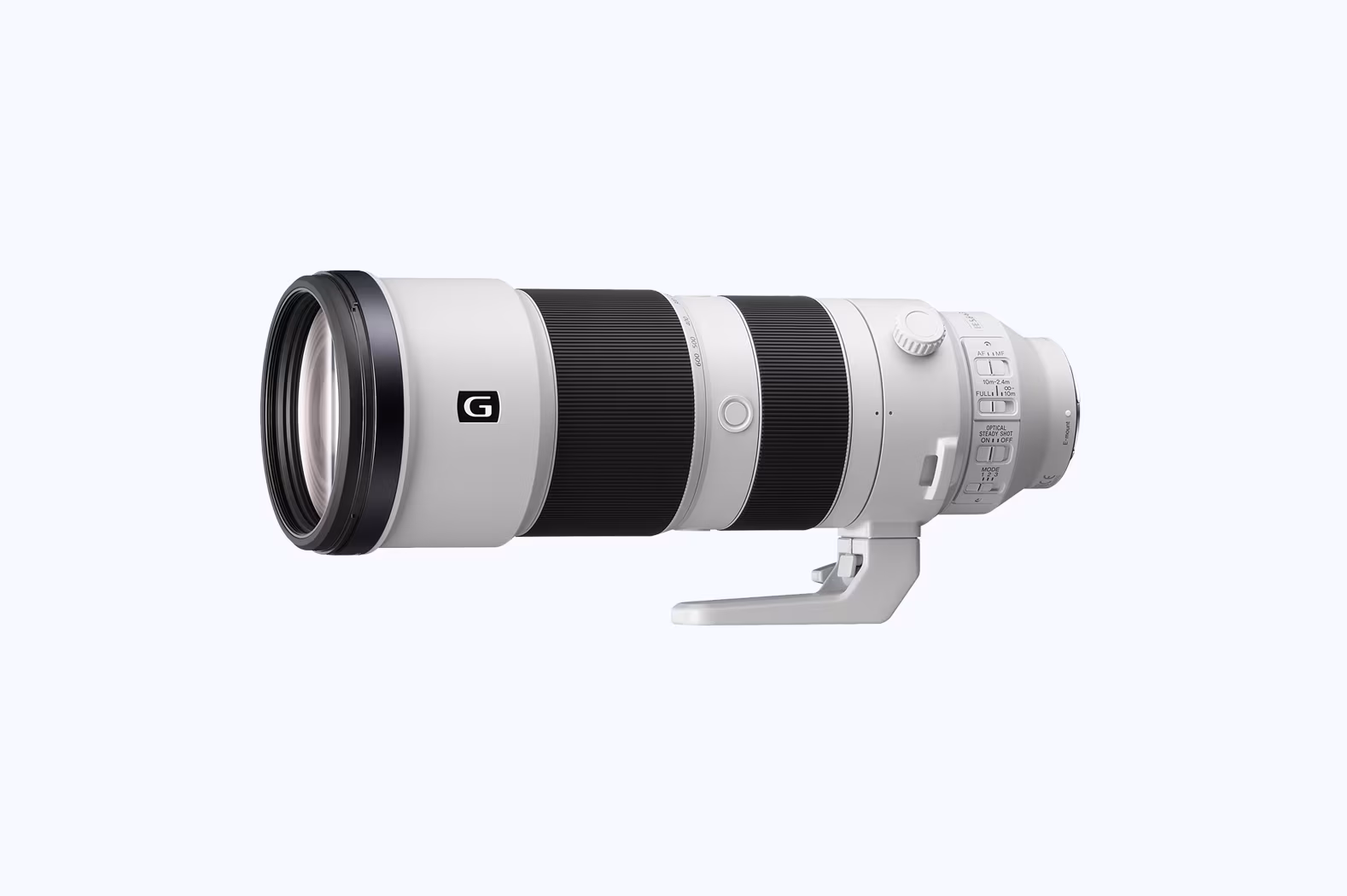 Chim chi tiết sắc nét chụp bằng Sony FE 200-600mm G OSS.